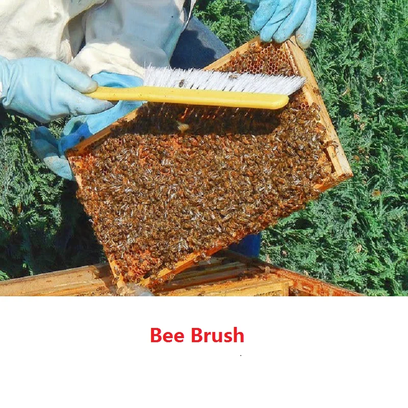 

Bee Sweep Brush Beehive Brushes Soft Honey Brush Beekeeping Brush Beehive Cleaning Tool Beehive Brushes Beekeeping Tools