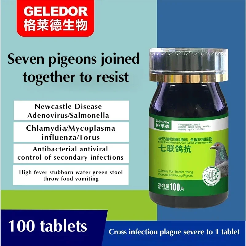 Seven Pigeons Against Salmonella Newcastle Disease Stubborn Water Green Then Throw Food Vomit Racing Pigeon Pigeon Special