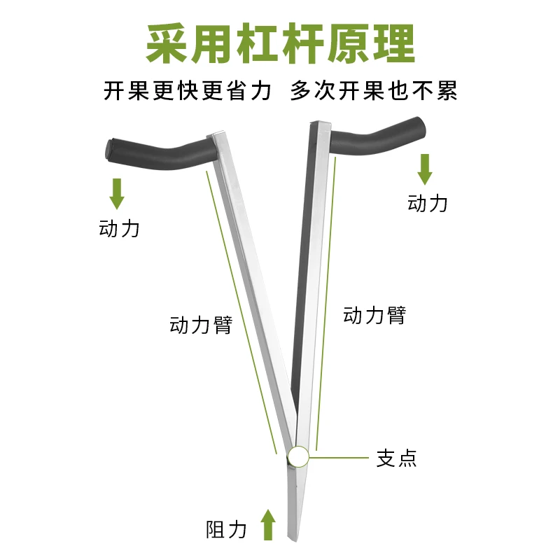 Open jackfruit artifact coring and core removal, core digging knife, shovel, white scimitar, pollo honey fruit store tools