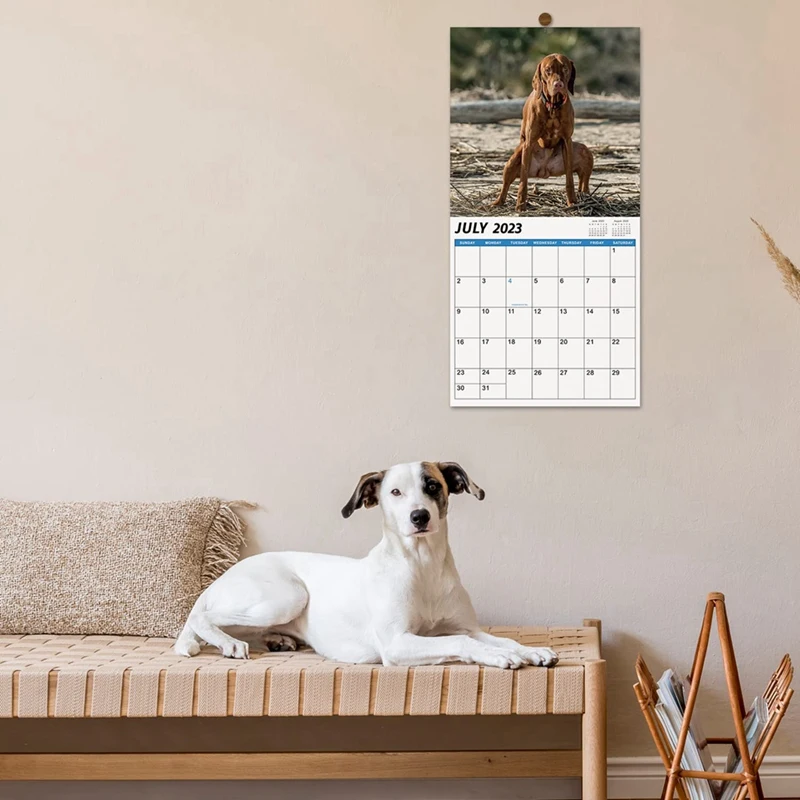 1 Piece 2024 Wall Calendar-2024 Calendar 12 Monthly Pooping Dogs Calendar 2024 Funny Gag Gifts