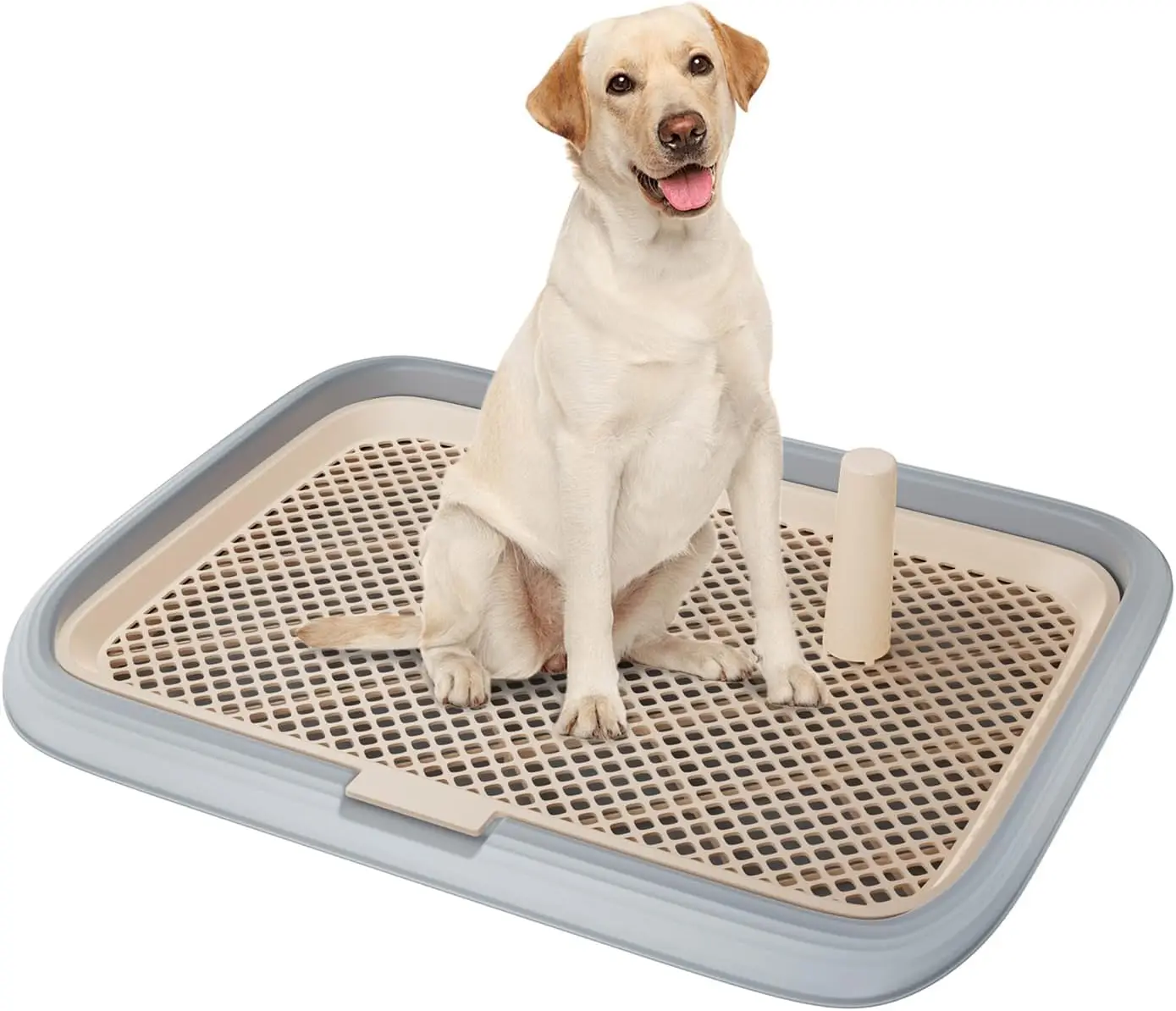 

23.6"x17.7" Dog Potty Tray – Mesh Floor Pee Pad Holder & Indoor Pet Toilet (Gray)