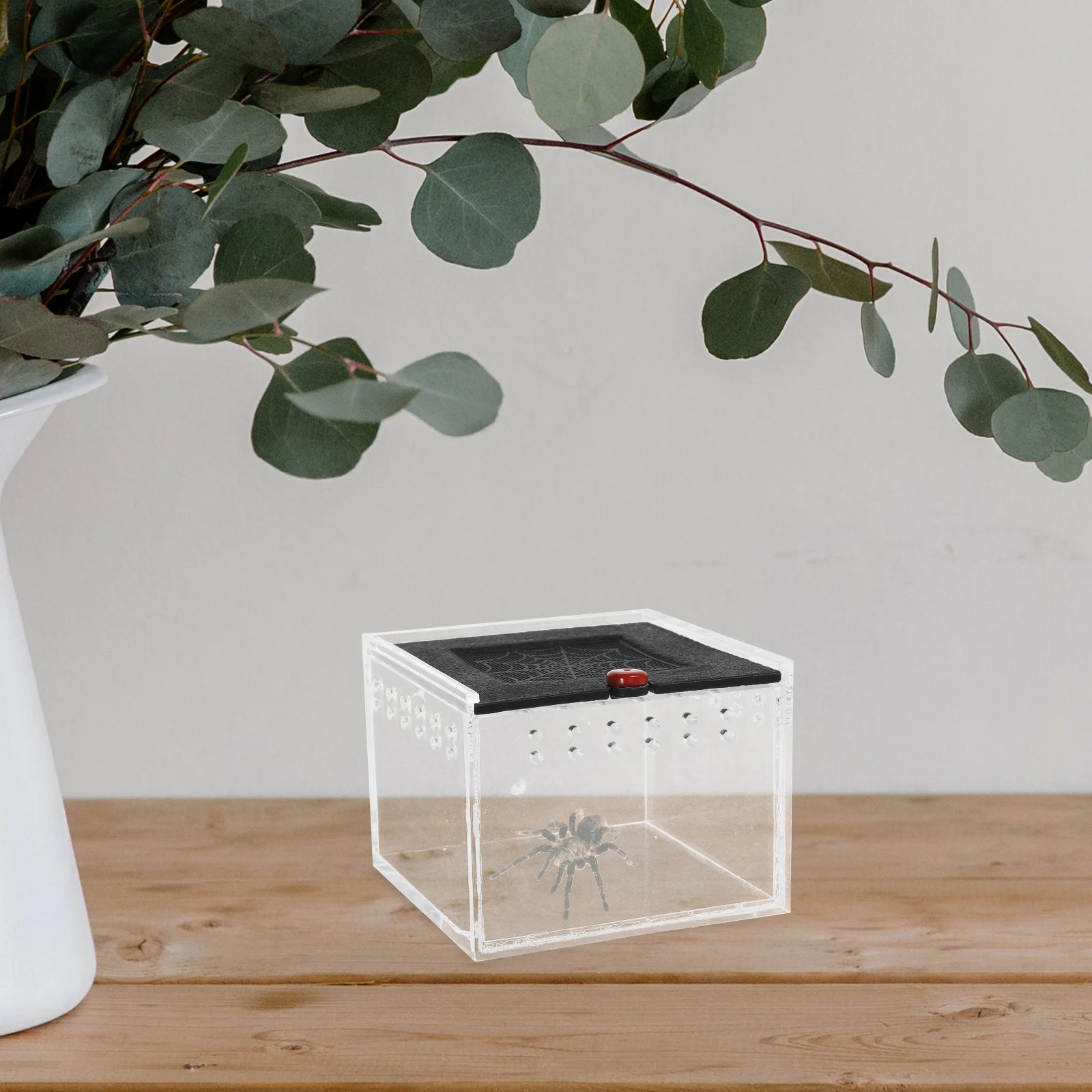

1pc Reptile Feeding Box Durable Acrylic Case Ventilation Anti Escape Suitable Transport Raising Animals Pet Behavior Viewing