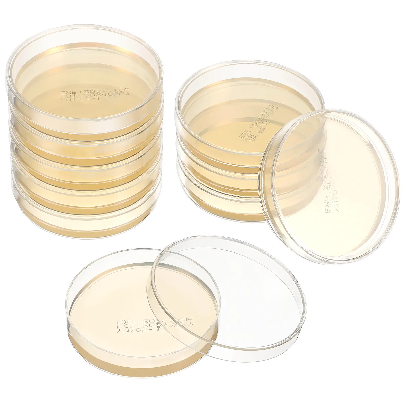 

10 Pcs Nutrient Agar Plate Petri Dishes Plates Flatware with Laboratory Experiment Supplies Yeast Science