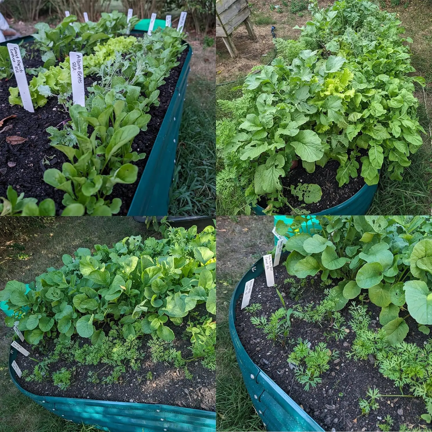 8x3x2ft Galvanized Raised Garden Bed, 24