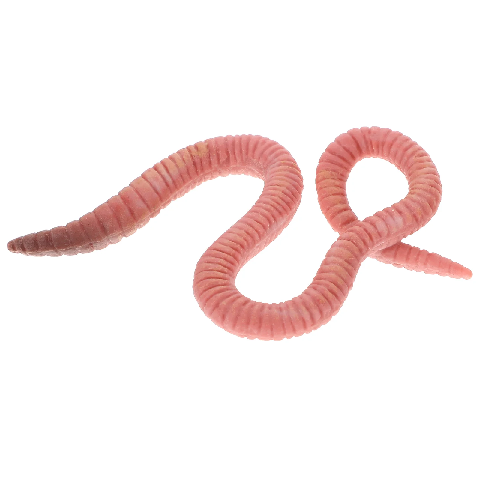 

Earthworm Model Toy Fake Worms Small Insects Statue Figurine Recognition Simulation Adornment Child