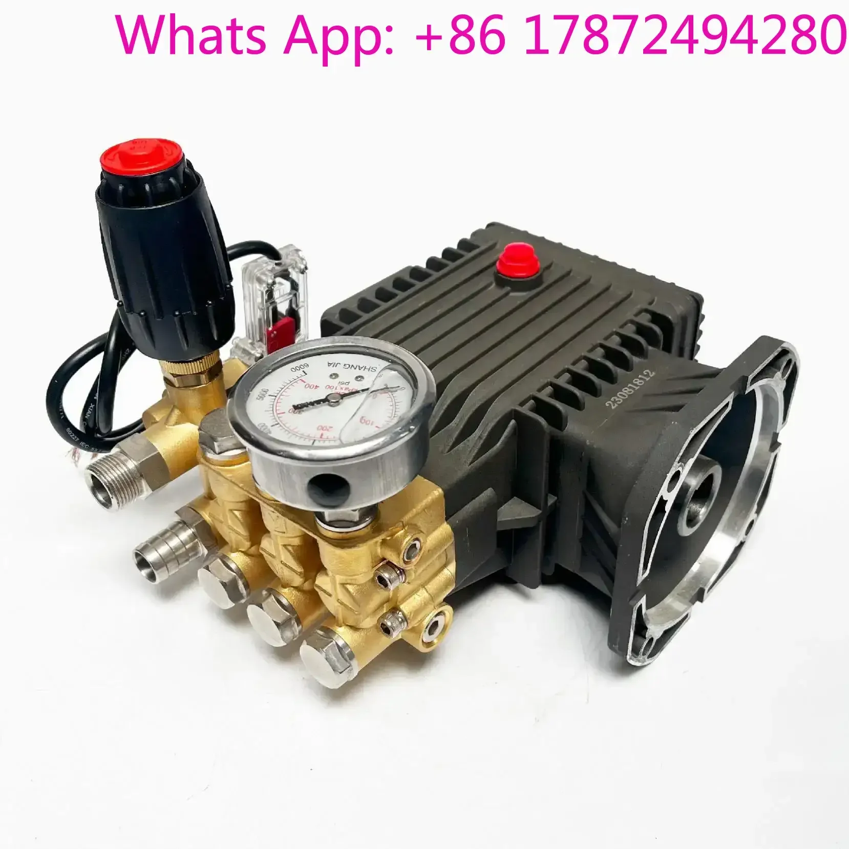 16L/min 250 BAR Car Washer Pump High Pressure Cleaner Electricidad Pressure Washer Pump High Pressure Piston Pump