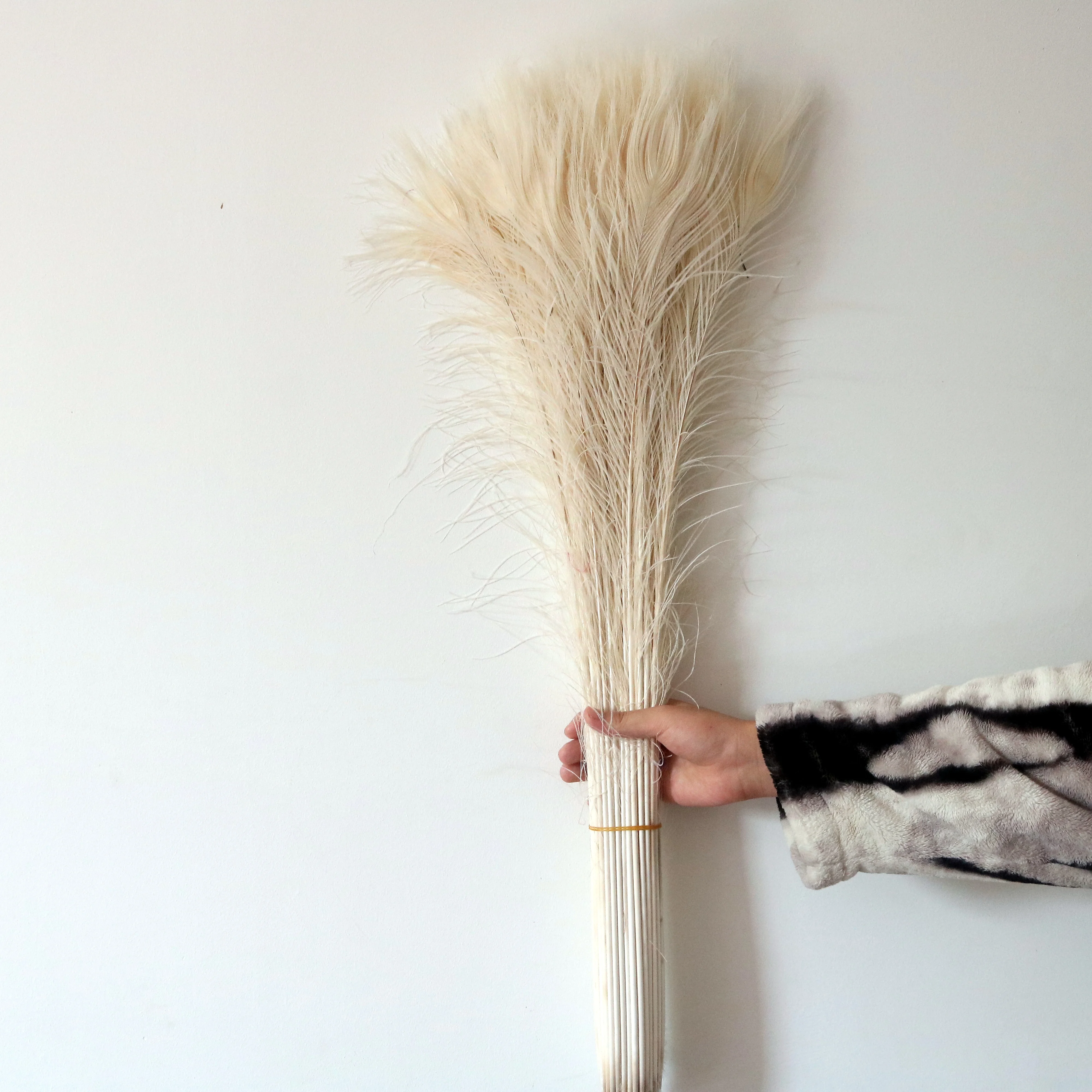 

100pcs Beige Peacock Feathers 70-80CM 28-32inch Long Bulk Craft Supplies For DIY Decoration Wedding Carnival Party Plumes