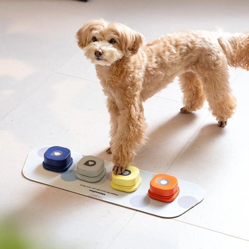 New Design Dog Talk Button Dog Training Dog Interactive Toy