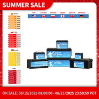 12V 24V 100AH 120AH 200AH LiFePO4 Battery Built-in Bluetooth  BMS Lithium Power Batteries 6000 Cycles For RV Campers Golf Cart