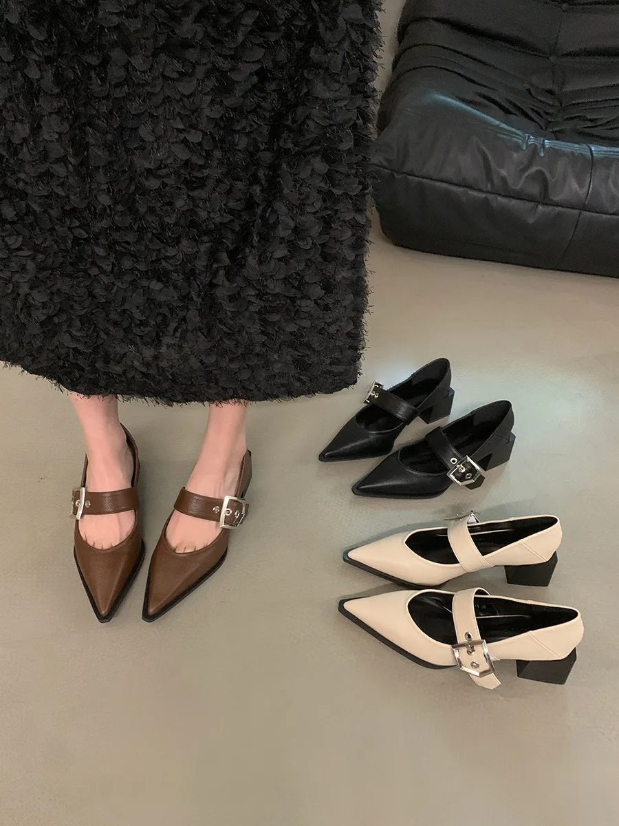 Retro Pointed Mary Jane Small Leather Shoes for Women 2024 Autumn and Winter New Korean Version of Chunky Heel Loafers