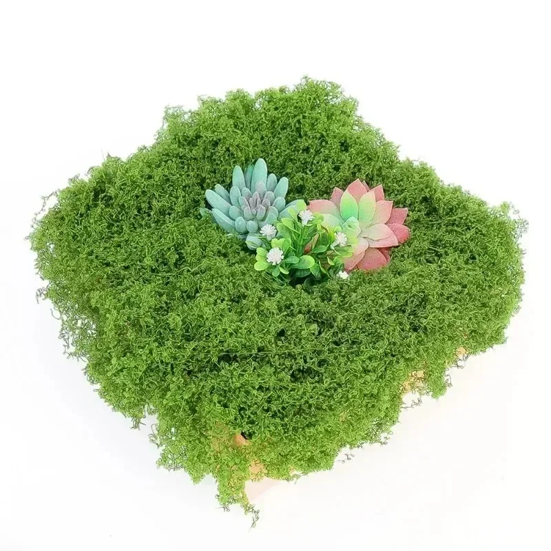 500/30g Eternal Life Moss Artificial Green Plants DIY Crafts Grass Home Room Garden Decoration Mini Landscape Fake Grass Gifts