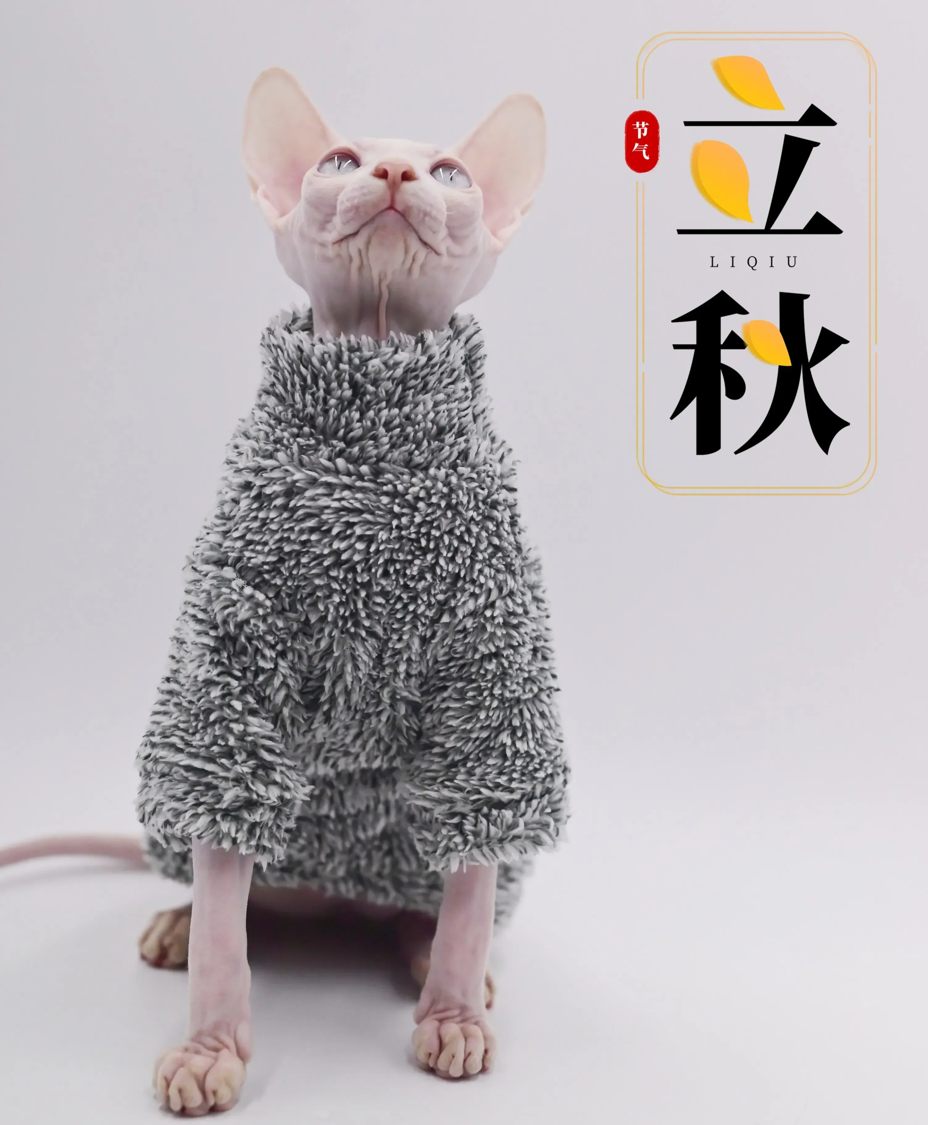 

DUOMASUMI Soft Double-sided FluffY Winter Jacket Warmth Coat for cat Thickening Sphinx Sphynx Cat Clothes Hairless Cat Outfits