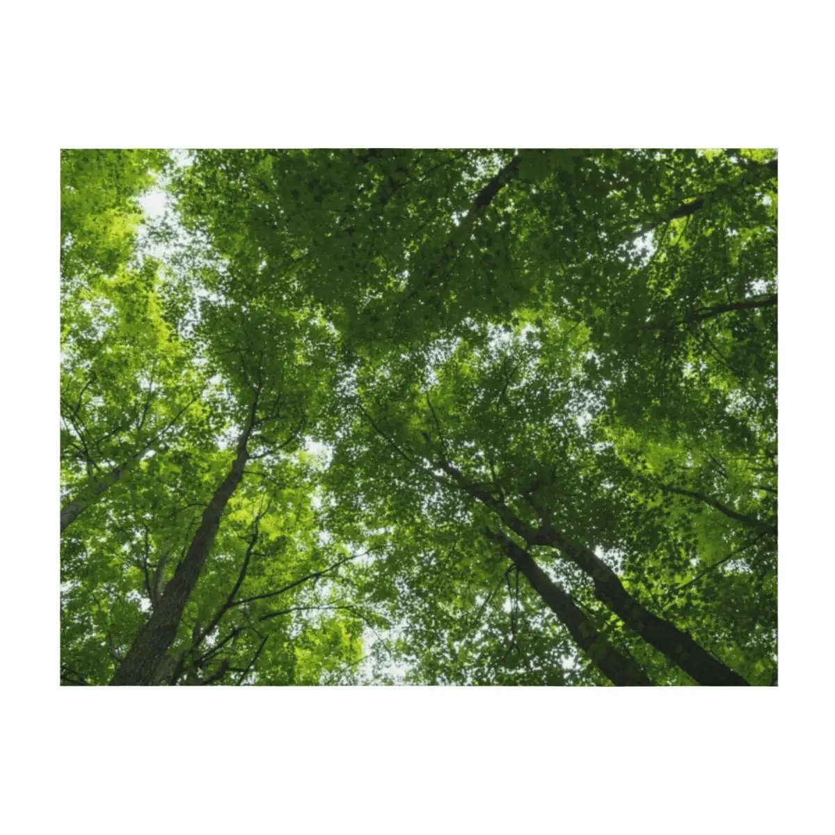 

Natural Skylights - Biophilic Ceiling in the Woods Throw Blanket Thermal Luxury Brand Sofa Single Blankets