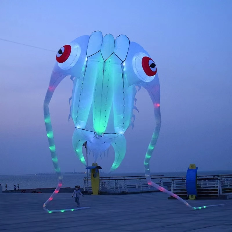 

Led trilobites kite for adults kite string line windsurfing papalote outdoor toys flying toys giant kites for adults prism kite