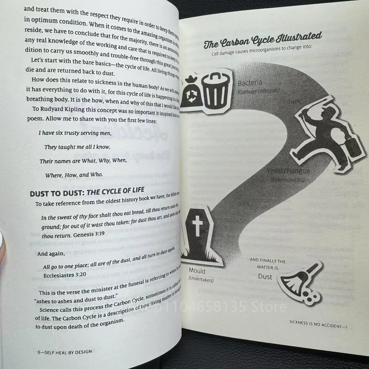 【HOT SALE】[Heartfelt Storytelling]Sustain Me by Barbara O’Neill/ Romance Novel/ Health Pillar Books/Emotional Journey Book image 6