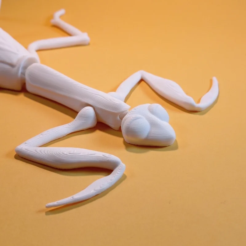 Fun and cute mantis 3D printed with flexible joints