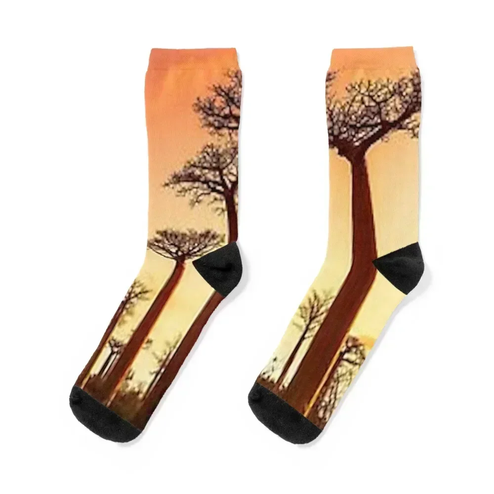 

Avenue of the Baobabs Socks Men's tennis Christmas valentine gift ideas Socks Women Men's
