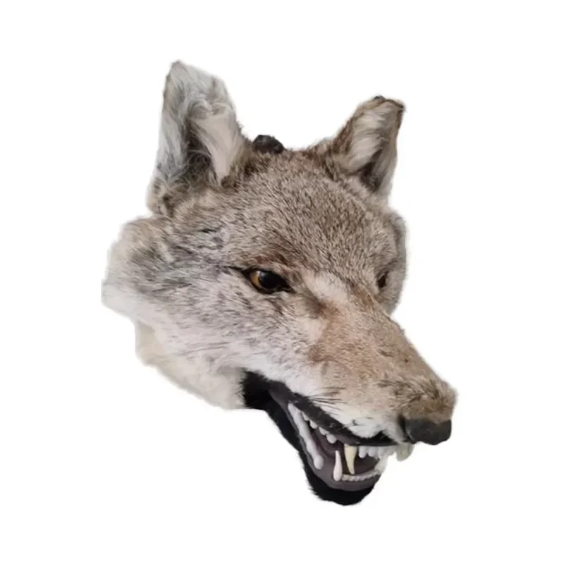 for Wolf Head Wall Hanging Genuine Leather Static Animal Model Home Decor Living Room Party Decoration Handicraft Gift