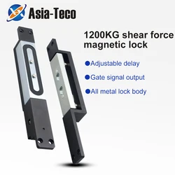 Electronic Magnetic Shear Lock Concealed 1200KG Magnetic Lock With High Suction Anti-Theft Building Intercom Wooden, Iron Door