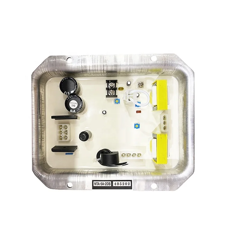 Factory Direct Sale AVR Nta-5A-2dB Generator Parts for Denyo Generator Automatic Voltage Regulator Nta-5A-2dB