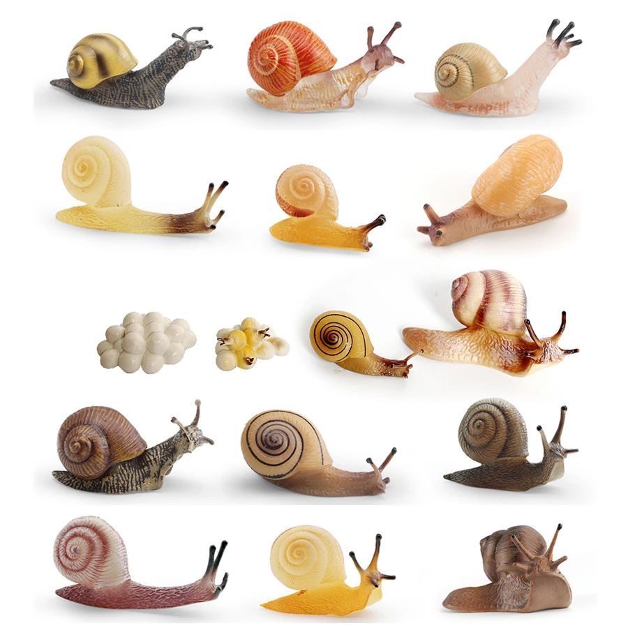 Realistic Life Cycle Of A Snail Model Figure Snail Figurine Party Favors Supplies Cake Toppers Desktop Decoration Collection Toy