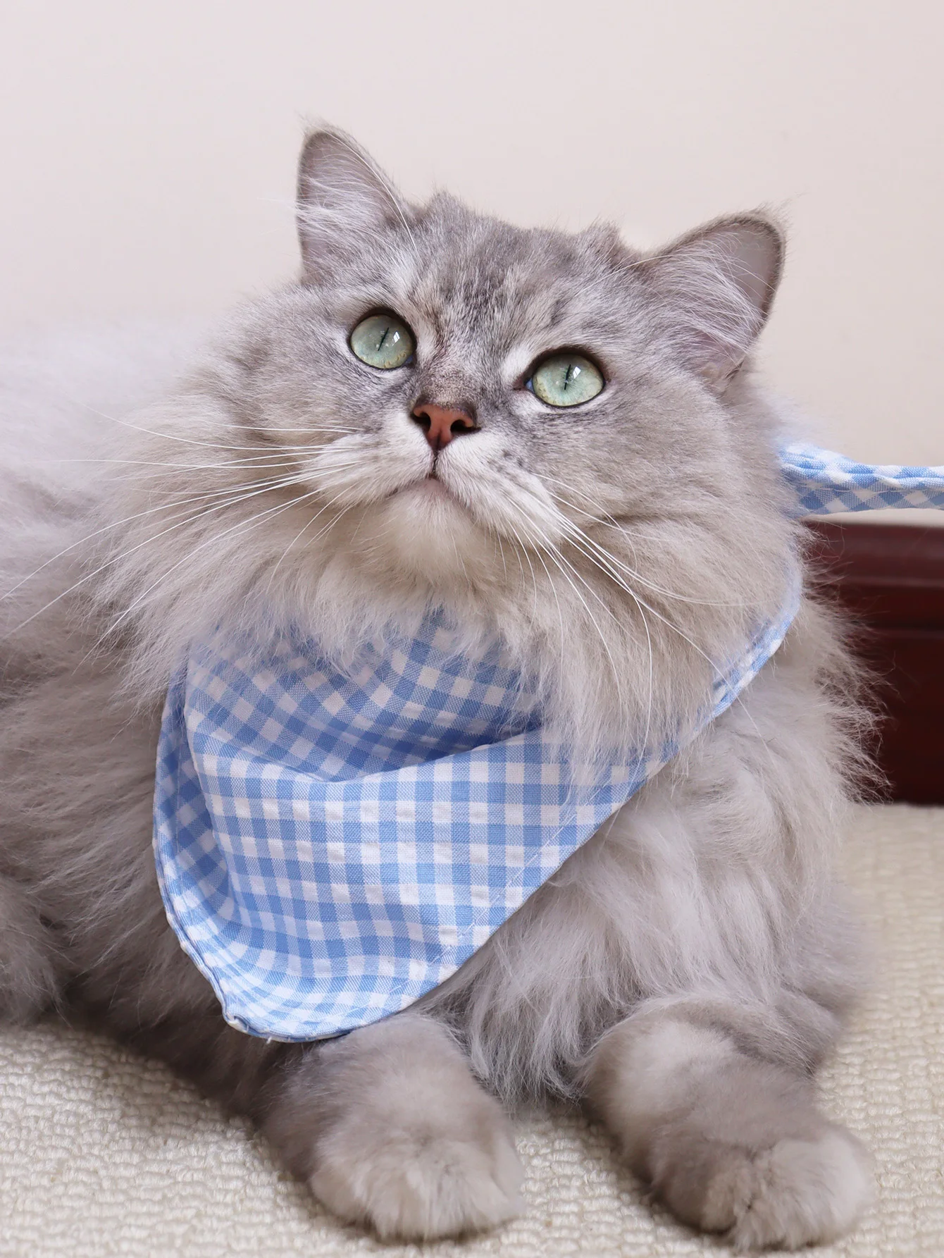 

1Pc Pet Neck Scarf Decorations, Cute Style Plaid Triangle Saliva Towel Bib, Cat Daily Outfit,Multi-color Selection
