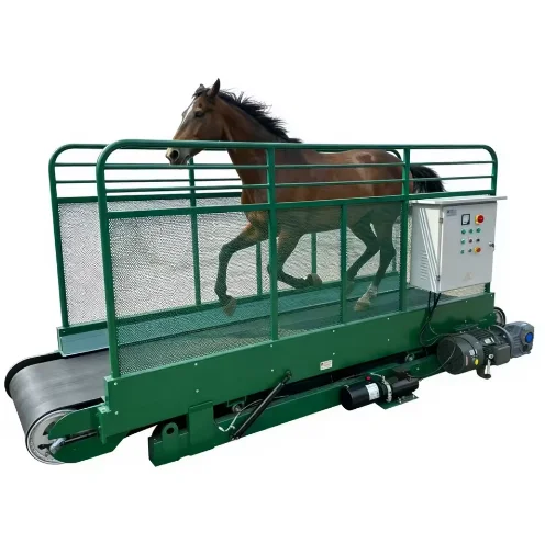 Reeds Horse Treadmill - Advanced Technology for Precise Training Control