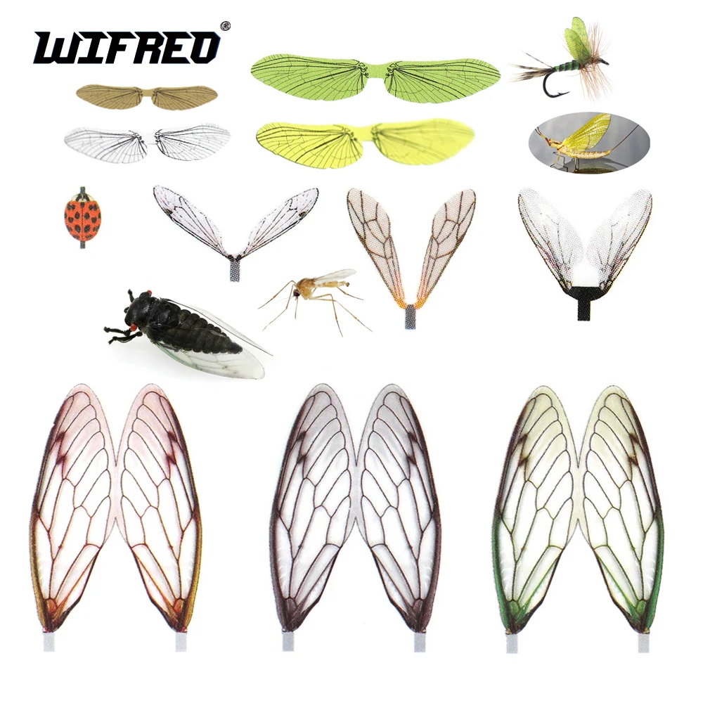 Wifreo 2 opakowania Realistyczne skrzydło muchy Wstępnie przycięte skrzydła muchy do wiązania owadów Syntetyczna mucha kamiennej Mayfly Butelka muchy Materiały do wiązania przynęt na pstrągi