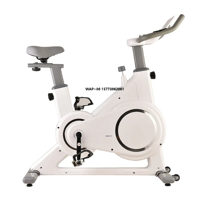

Indoor Fitness 20kg Steel Electromagnetic Controlled Silent Exercise Bicycle Home Gym Training for Spinning Bikes