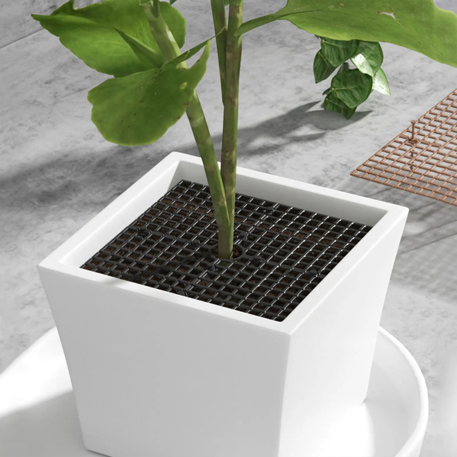 Plants Flower Pot Soil Protectors Grid Plant Pots Cover with Stakes for Prevent Plants Soil Falling
