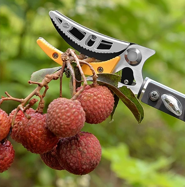 Fruit picking artifact pruning shear, telescopic high-altitude picking fruit scissors, extended picker, lychee, loquat, longan h