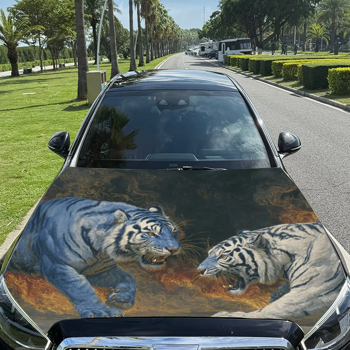 

Car Decals Two White Tigers with Striking Patterns, Fierce Expressions, and a Dynamic Confrontational Stance Car Hood Sticker, W