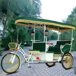 City tour electric tuk tuk pedicab rickshaw tours for passenger High Quality Royal Prince Carriage Royal Horse Carriage