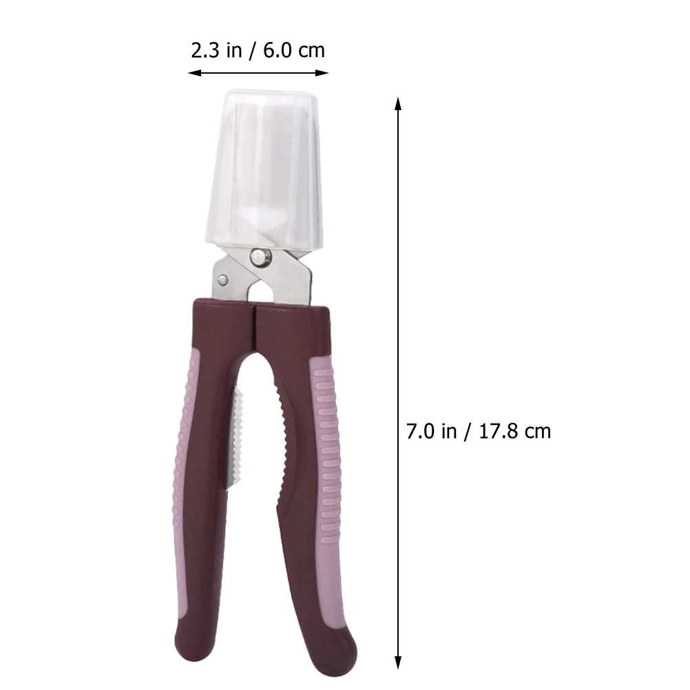 

Chestnut Opener Stainless Steel Handheld Chestnut Shucker Efficient Nut Peeling Tool Practical Walnut Opener Walnut Clip