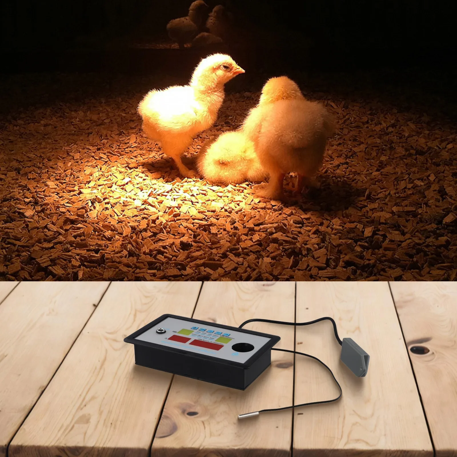 Hermostato Incubatrice Umidità Incubatrice Intelligente Temperatura ZFX-W9002 1 PZ 110 ℃   Uova di pollo, anatra, oca, 12 V