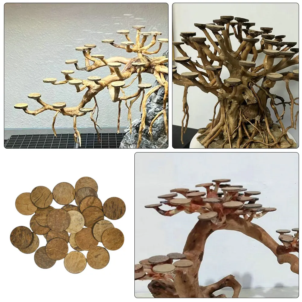 

50pcs 2cm Mossy Circle Coconut Shell Discs Aquarium Fish Tank Decor Scenery Accessories Supplies Terrarium Sand