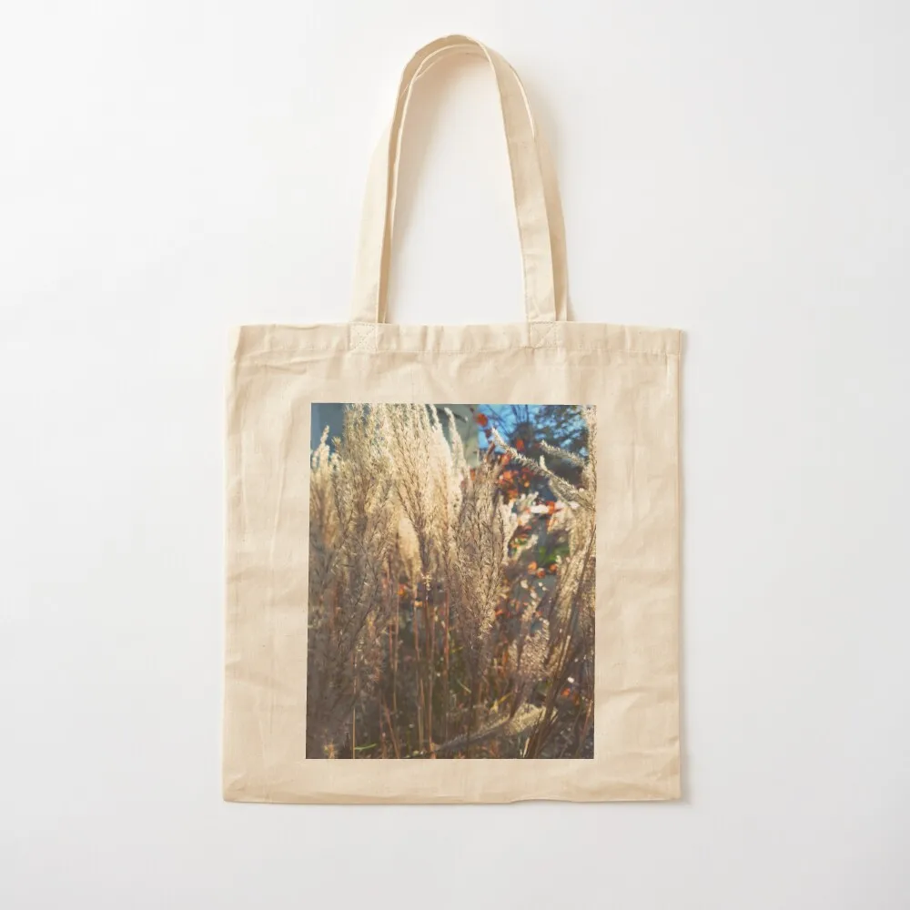 

Maiden silvergrass in the autumn sun Tote Bag sacs de shopping Shopper bag Canvas Tote Bag