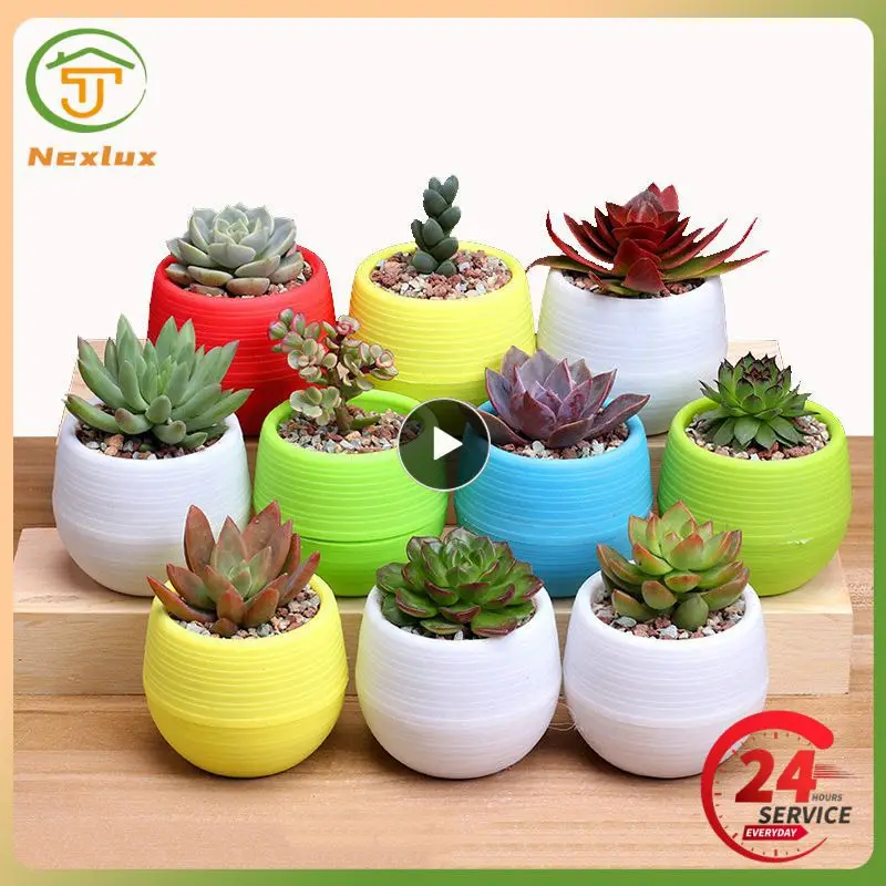 Colorful Mini Potted Plant Pot For Office Decoration Flower Plant Pots Indoor Garden For Succulent Small Planter Office Decor