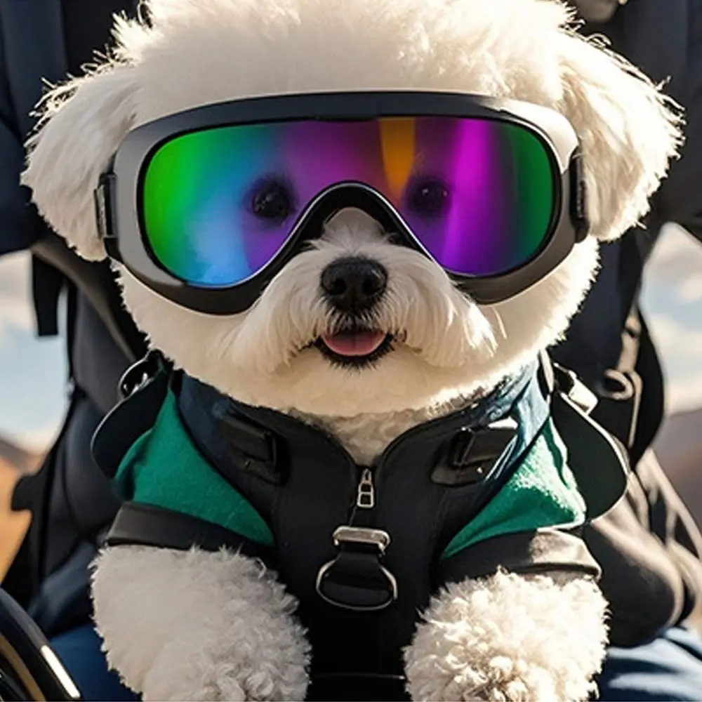 نظارات شمسية صيفية للكلاب بحزام قابل للتعديل وحماية من الأشعة فوق البنفسجية للحيوانات الأليفة، نظارات واقية مريحة وقابلة للتنفس #2