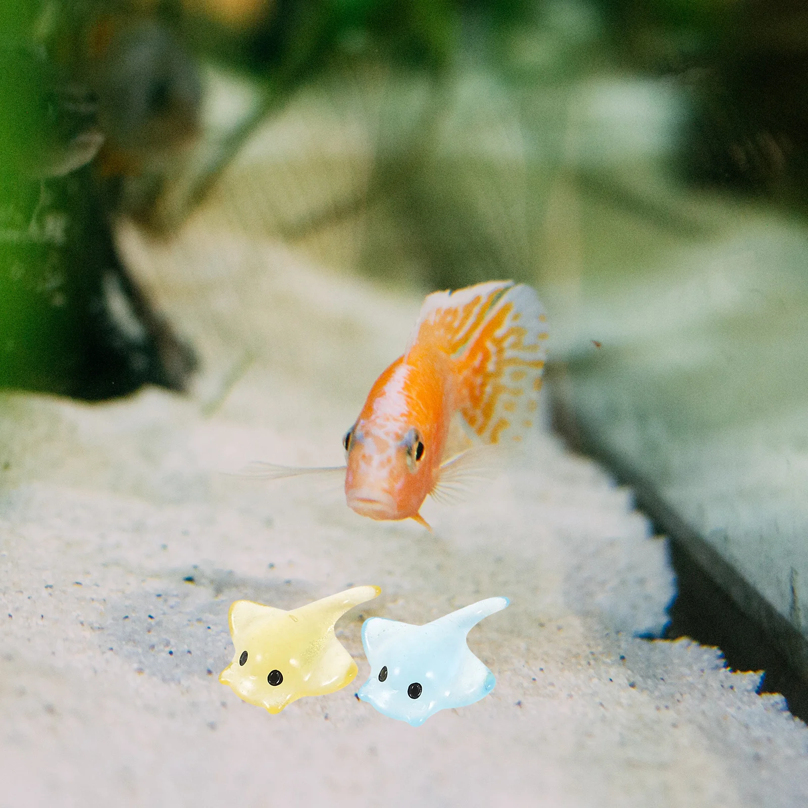 

20Pcs Devil Fish Decoration Realistic Mini Resin Marine Animal for Fish Tank Micro Landscaping Small Ocean Scene Ornaments