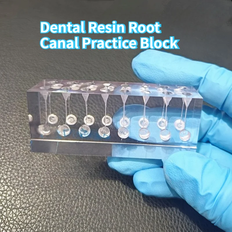 Dental Resin Root Canal Practice Block Simulated Dental Pulp Hot Tooth Glue Filling Machine Expansion Preparatory Filling Model