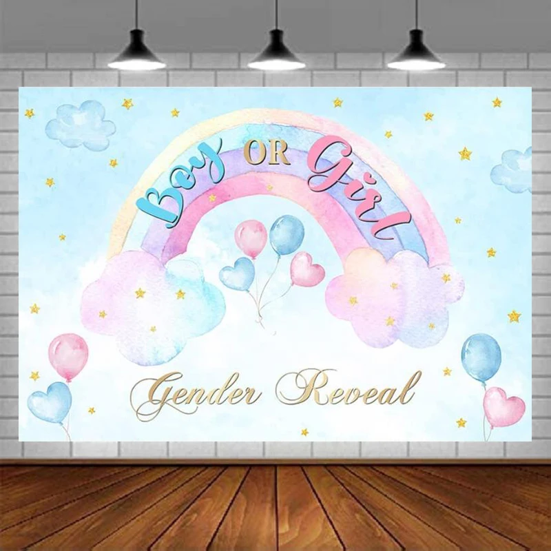 Photography Backdrop Boy Or Girl Gender Reveal Party Decor Colorful Rainbow Blue Sky Background He Or She Banner Photo Shoot