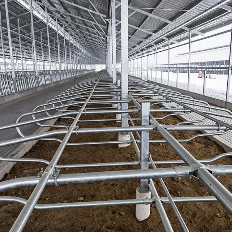 Portable Cow Cubicles Hot Dip Galvanized Cattle Livestock Divided Panels Durable Cow Free Stall For Dairy Farm