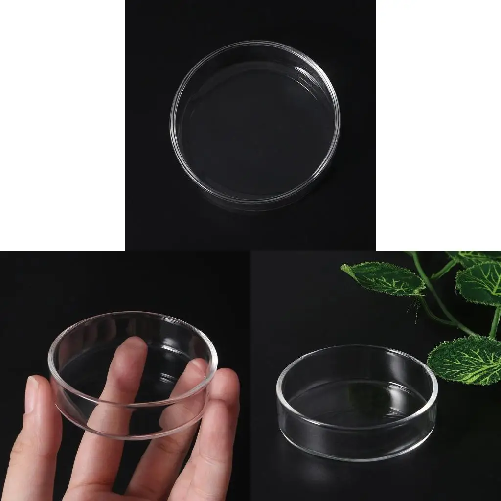  Ornamental Fish Feeding Bowl Kitchen Seasoning Pepper Poweder Container