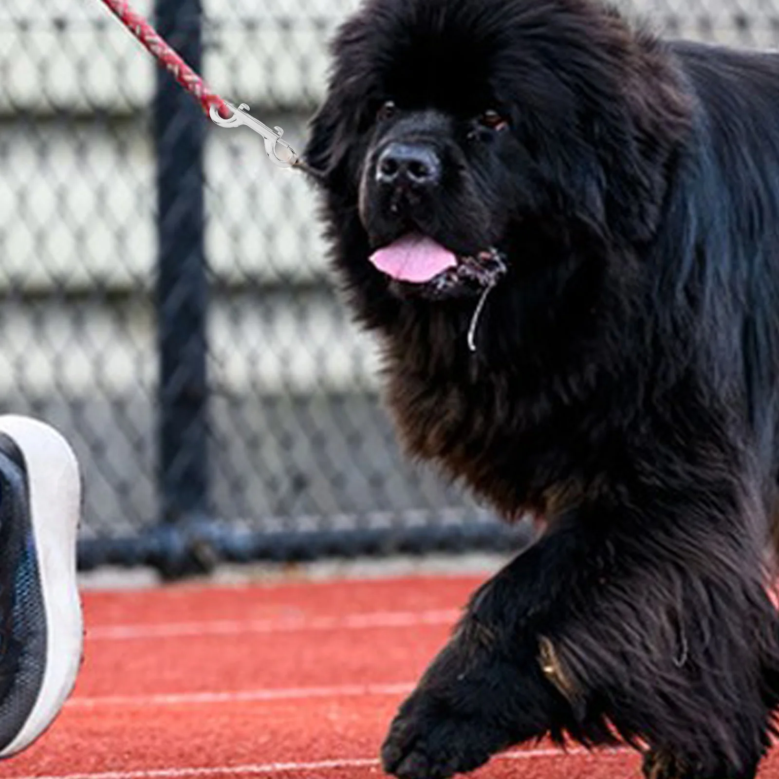 

6Pcs Stainless Steel Pet Snap Hook Double End Bolt Leash Clips 89mm Swivel Hook for Walking Training Traveling