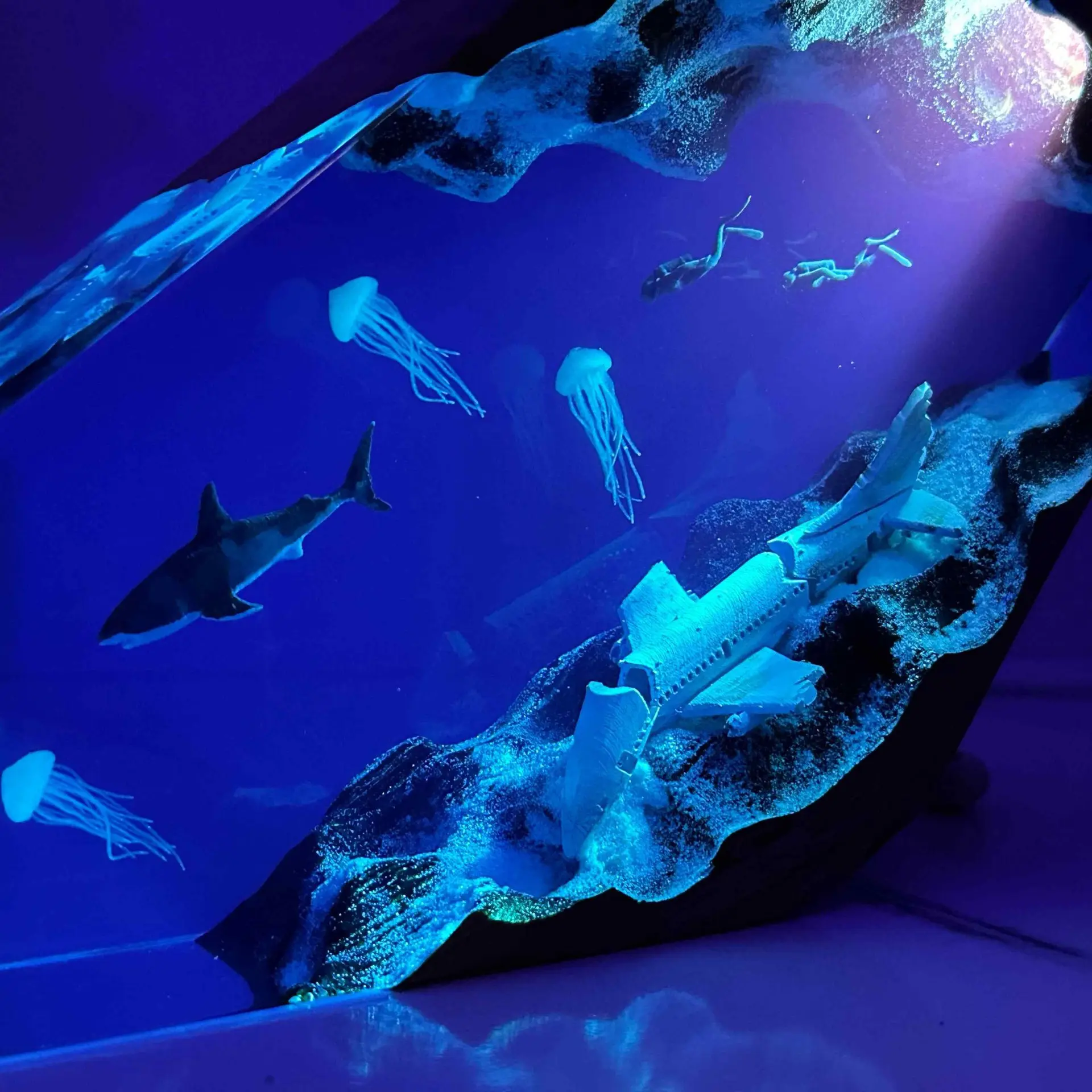 Seabed Crashed Plane Organism Resin Table Light Creactive Art Shocked Decoration Lamp Disaster Theme Night Light USB Charge