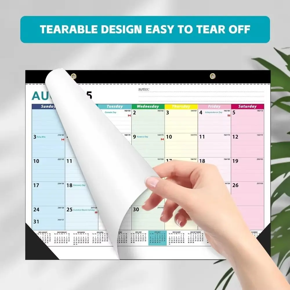 

Large Format 2026 Wall Calendar Waterproof Cover Daily Planning Time Agenda Planner Transparent Monthly Calendar School Office