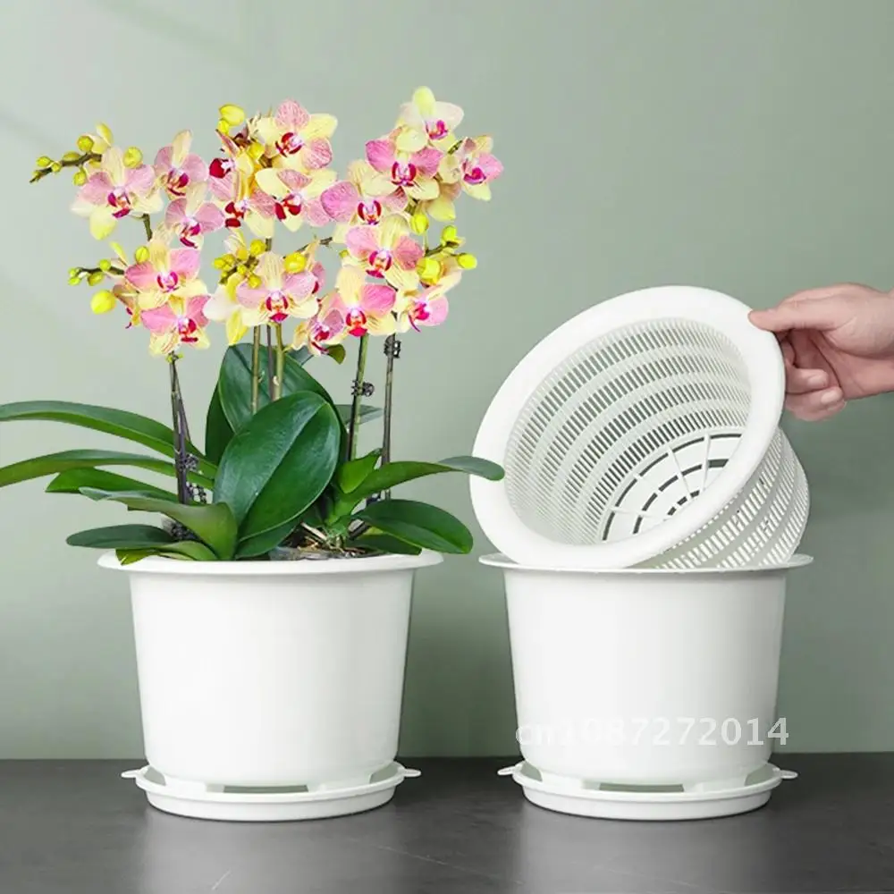 Meshpot 20cm Plastic Orchid Pot Flower Pot Garden Pot Root air Planter Activity Quantity Home Decor,Enhance Good and Holder