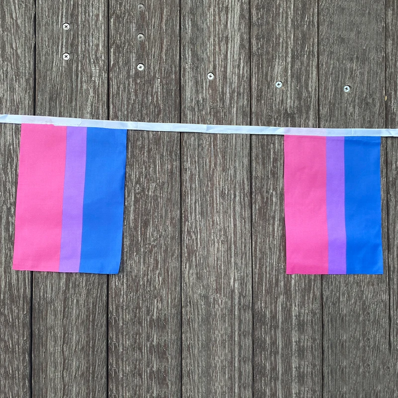 xvggdg  Rainbow string Flags  38pcs/set   Rainbow  Flags Banner Bisexual Pride LGBT Flag Lesbian Gay Parades string Flags