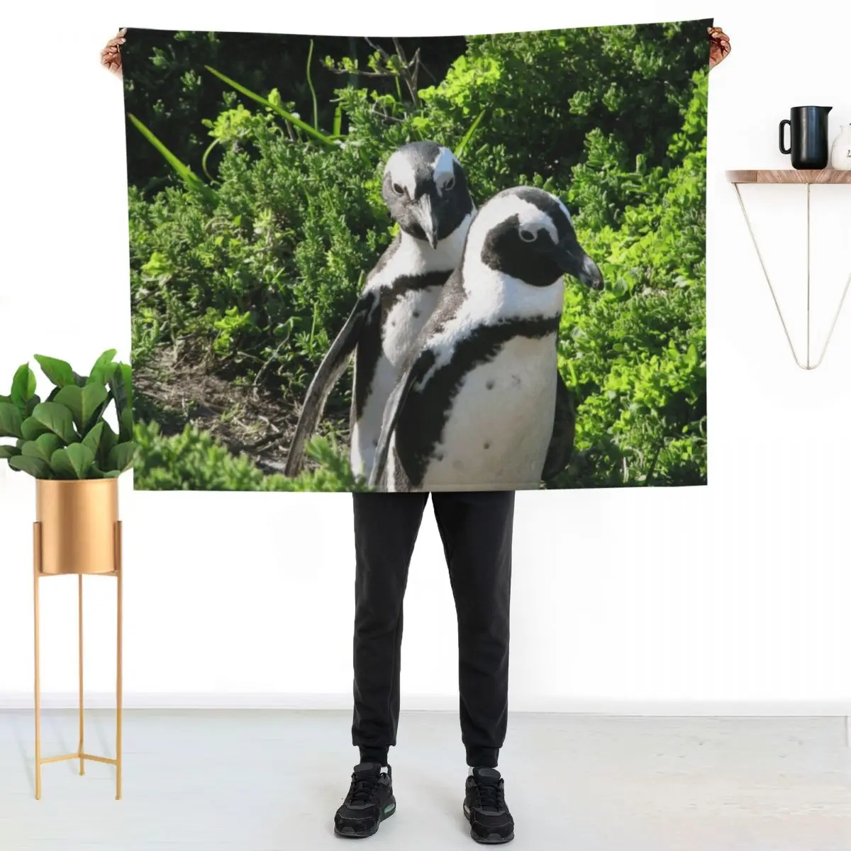 Two African Penguins Strolling Boulders Beach, Cape Town, South Africa Throw Blanket Heavy Decoratives Comforter Blankets